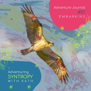 Journal Entry #01: Embarking